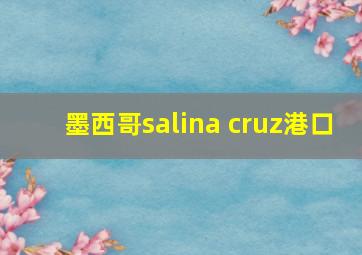 墨西哥salina cruz港口